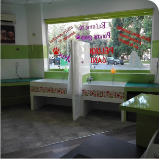 gallery-img
