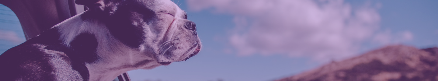 banner-bg-png